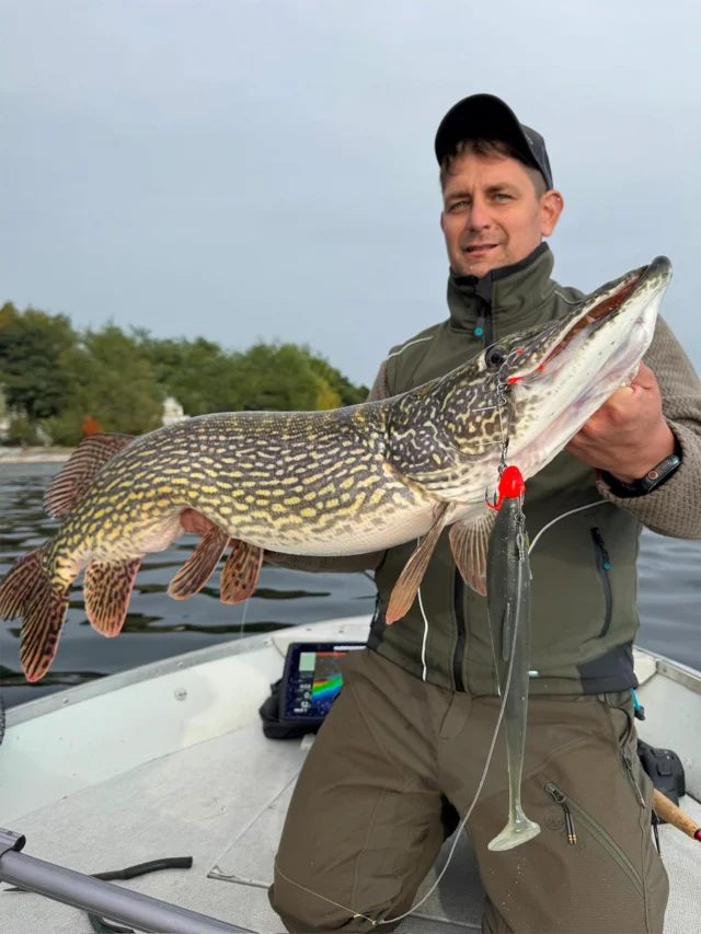Italian waters delivering the goods 🇮🇹

An absolute beauty, caught on the BlackShad in color Sparkle Herring 💎
Built to perform when it matters most.

#blackbayfishing #blackshad #italianpike #luccio #pikefishing