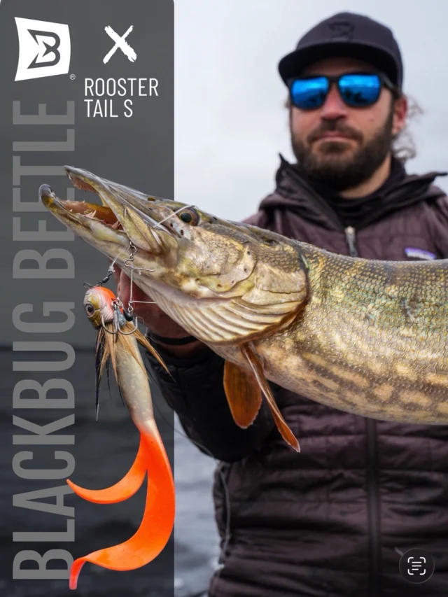 Built to match. Designed to trigger 🐊
The Rooster Tail S fits the Beetle perfectly and the pike agreed 💥 

#blackbayfishing #blacktail #roostertail #pikefishing