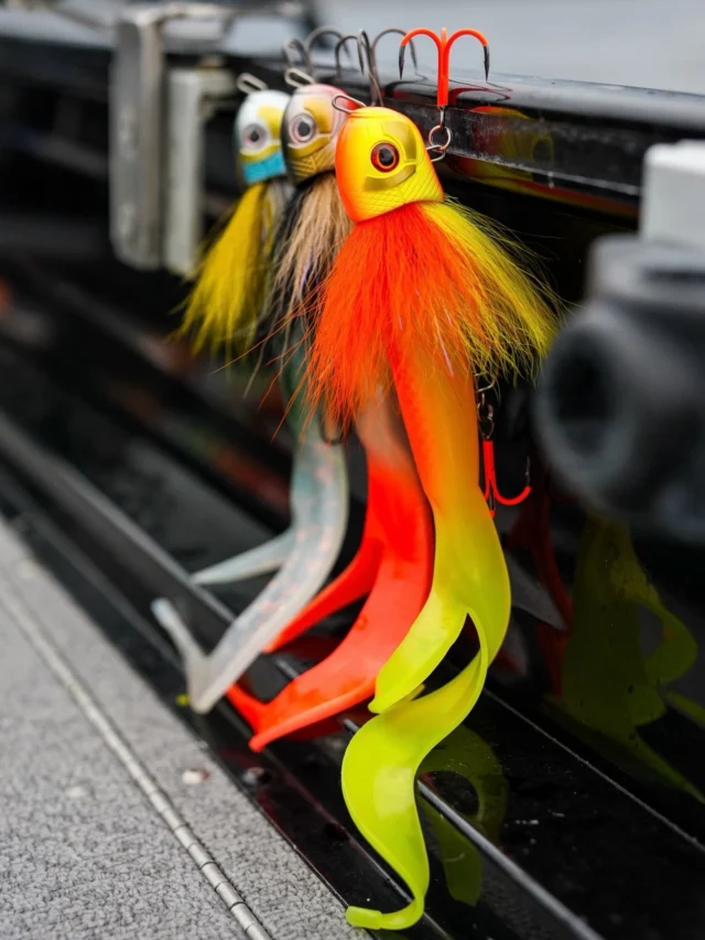 Every detail matters when it comes to triggering bites.
That’s why every RoosterTail S is perfectly color matched to the BlackBug Beetle it’s paired with. Clean profile, consistent look, no mismatches.

Which combo would you fish first? 🎣

📸 @roy_nordic_esox 

#blackbayfishing #blackbugbeetle #roostertail #pikefishing #predatorfishing
