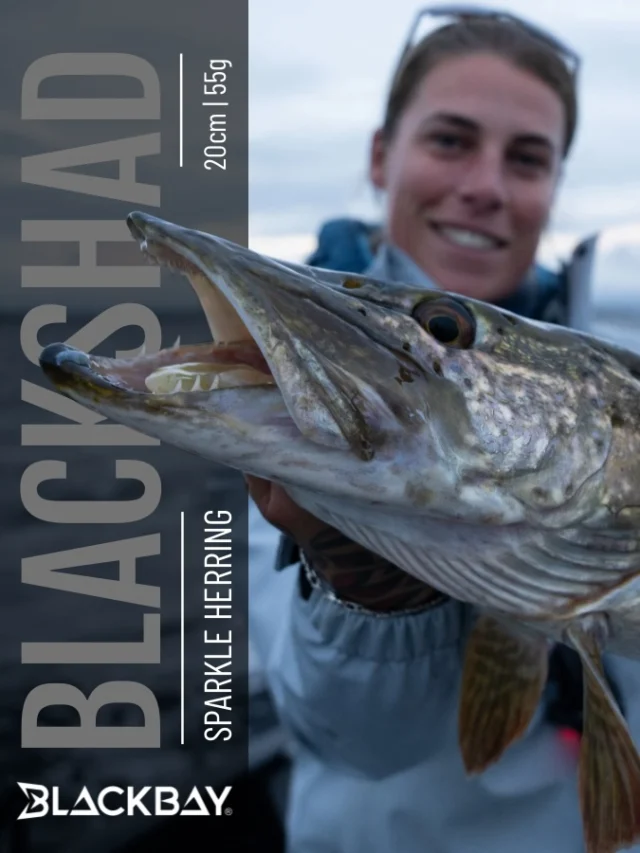 Lodge session in Ireland never disappoint 🇮🇪🎣
Mikky with a nice pike 🐊

👉🏼 BlackShad ‘Sparkle Herring’

#blackbayfishing #blackshad #blackbaylodge #pikefishing