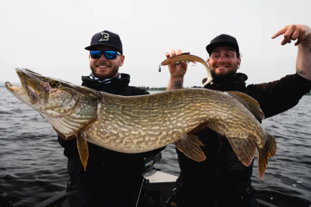 Some fish make the trip worth it 🎣

A beautiful Irish pike caught at the lodge on the BlackShad in color ‘Chub’. Sometimes keeping it natural is all you need 🍀🐊

#blackbayfishing #blackshad #pike #predatorfishing #ireland