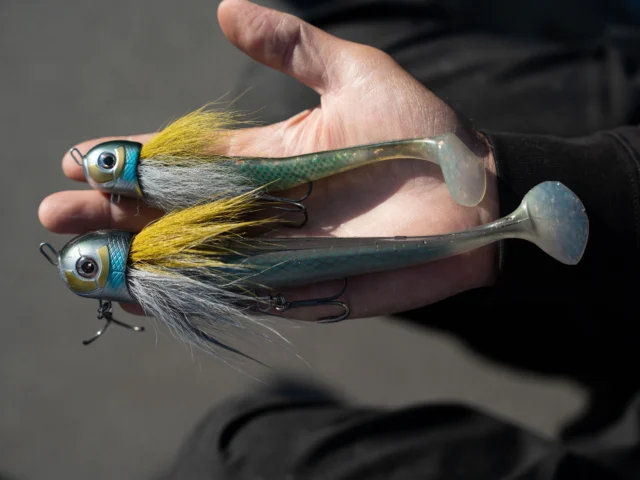 Same concept. Different size 🤏🏼

Some days predators want a big meal. Other days, downsizing is the key to getting more bites. That’s exactly why we created the BlackBug Beetle and the BlackBug Beetle Jr.

No matter the conditions, there’s always a Beetle that fits the situation 👊

#blackbayfishing #blackbugbeetle #pikefishing #predatorfishing #beetlejr