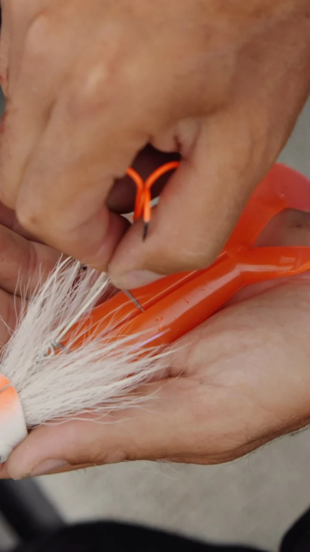 One lure, multiple actions 🔄

Change the BlackTail and you change the way the Beetle moves through the water. A simple adjustment gives you a completely different presentation when the fish aren’t responding to your first approach.

Adapt your lure. Adapt your presentation.

#blackbayfishing #predatorfishing #blackbugbeetle #fishinglures #pikefishing