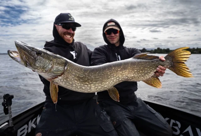Not your average team meeting 👀

Four days fishing in Ireland, testing gear, sharing ideas and chasing pike. Somewhere along the way, this big beauty decided to join the meeting 🇮🇪💪🏼

#blackbayfishing #blackbaylodge #pikefishing #bigpike #fishinginireland