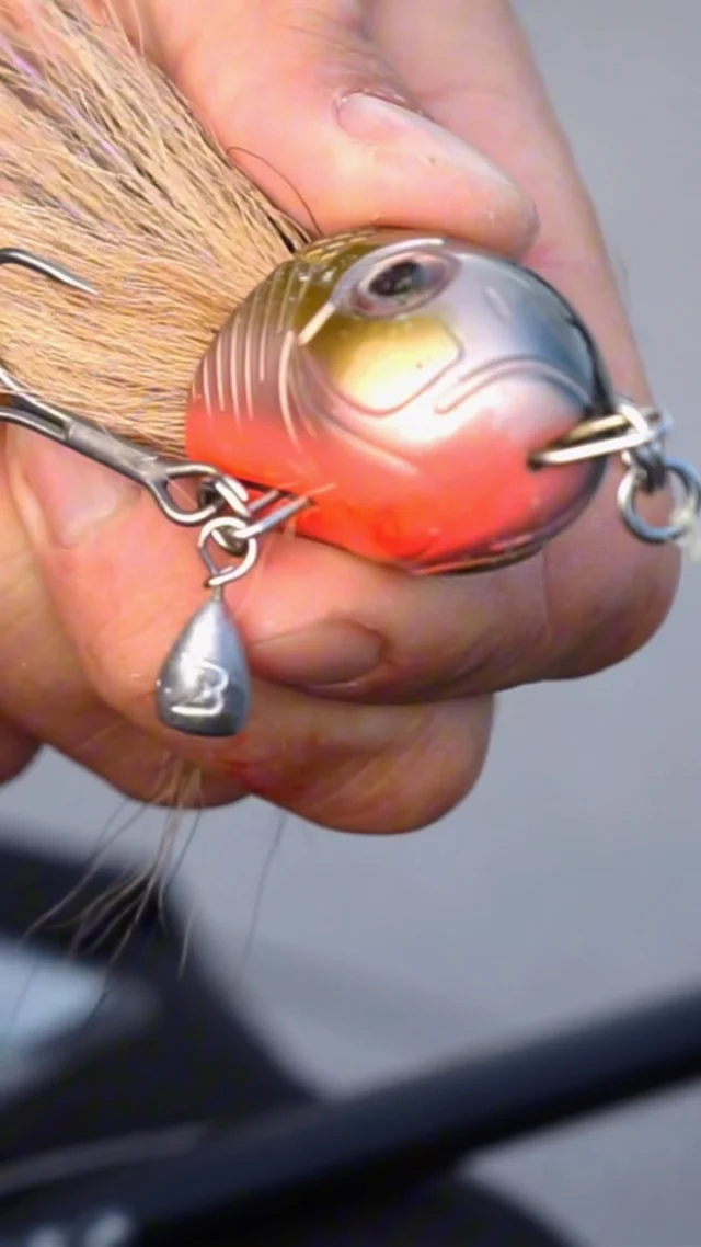 Just click it.
Coming soon.

#blackbayfishing #clickonweight #terminaltackle